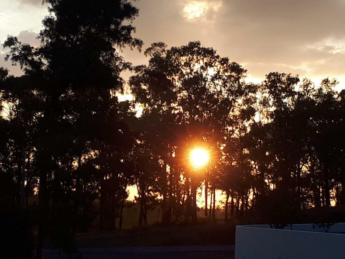 Palacete Dos Alcaides Minas de São Domingos Esterno foto